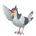 ハトーボー