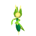 ハハコモリ