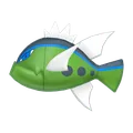 バスラオ(あおすじ)
