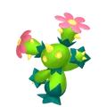 マラカッチ