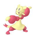 コジョフー