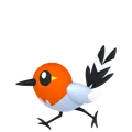 ヤヤコマ