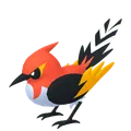 ヒノヤコマ