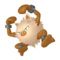 オコリザル