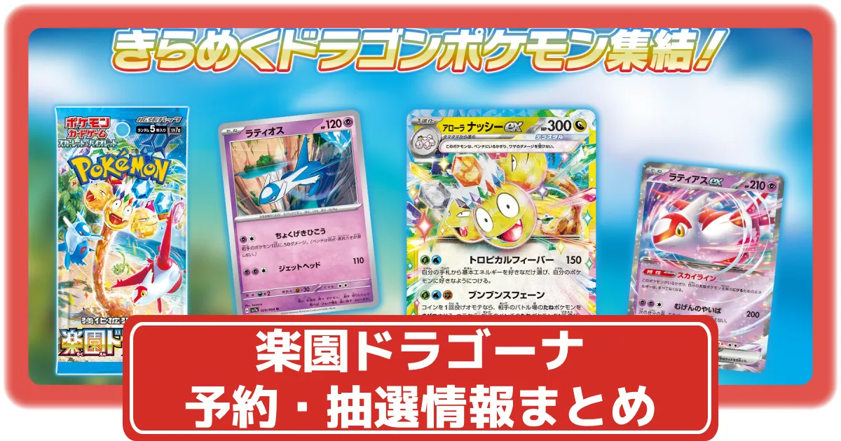 楽園ドラゴーナ　2BOX分 楽園ドラゴーナ 2BOX分 楽園ドラゴーナ 2BOX分