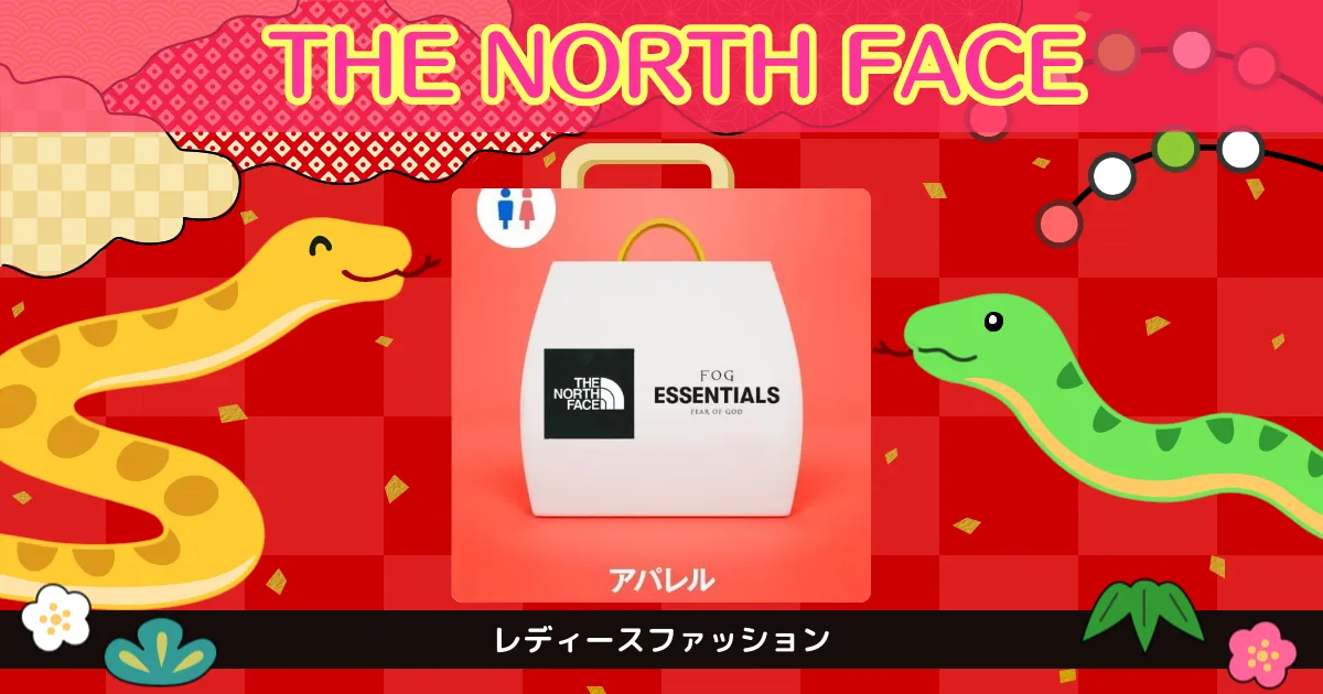 【期間限定】ノースフェイス　詰め合わせ ノースフェイス詰め合わせ