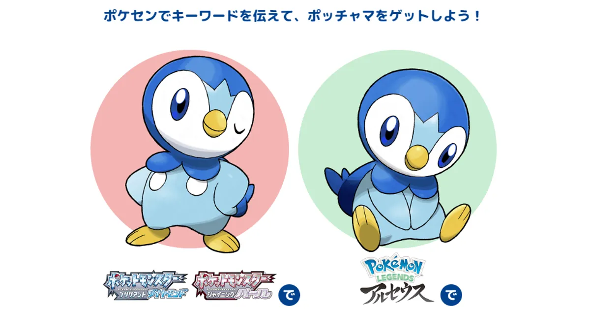 ポケモン - ポッチャマ　chr  ダイパリメイク ポッチャマルシェのポッチャマ BDSP・LAの配信・配布ポケモン