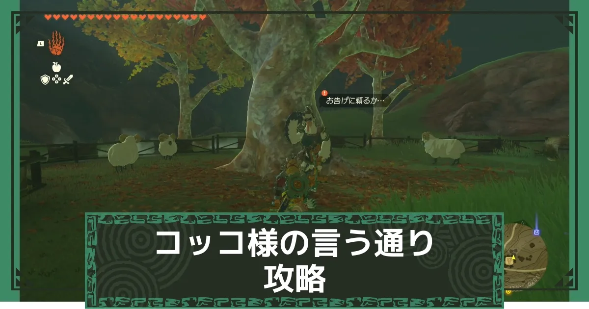 こっこさま ☆コッコ様☆ 【公式通販】