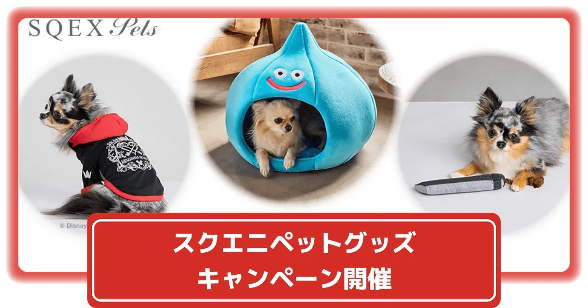 ドーム型ペットハウス スライム」 ※商品はすべて開発中のもの。開発