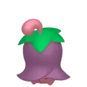 チェリム(ネガフォルム)