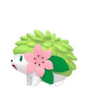 シェイミ(ランドフォルム)