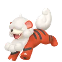 ガーディ(ヒスイのすがた)