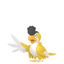 イキリンコ(イエローフェザー)