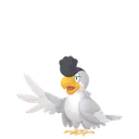 イキリンコ(ホワイトフェザー)