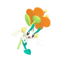 フラエッテ(オレンジいろのはな)