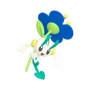 フラエッテ(あおいはな)