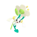 フラエッテ(しろいはな)