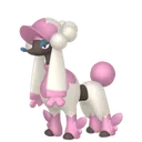 トリミアン(マダムカット)