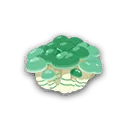 カゲブンシメジ