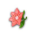 グラシデアのはな