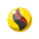 ライチュウナイトＸ