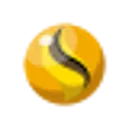 ライチュウナイトＹ