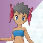 フヨウ