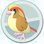 ピジョット