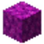 ミズタマサンゴブロック