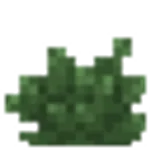 茂み