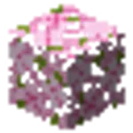サクラの葉