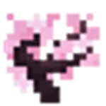 サクラの苗木