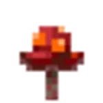 真紅のキノコ
