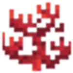 ミレポラサンゴ