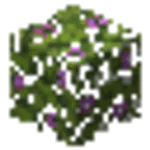 開花したツツジの葉