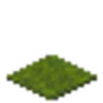 緑色のカーペット