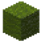 緑色の羊毛