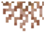 垂れ根