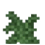 大きなシダ