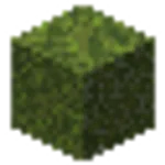 苔ブロック