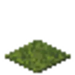 苔のカーペット