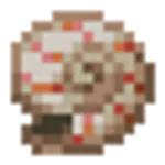 オウムガイの殻
