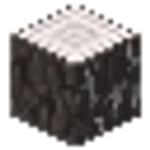 ペールオークの原木