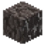 ペールオークの木