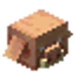 ピグリンの頭