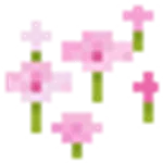 桜色の花びら
