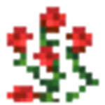 バラの低木