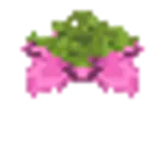 胞子の花