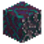 歪んだ菌糸