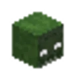 ゾンビの頭